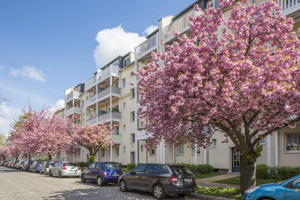 تصویر Traumwohnung Nähe Tierpark - Nachmieter gesucht! · Ribbecker Straße 57, 10315 Berlin