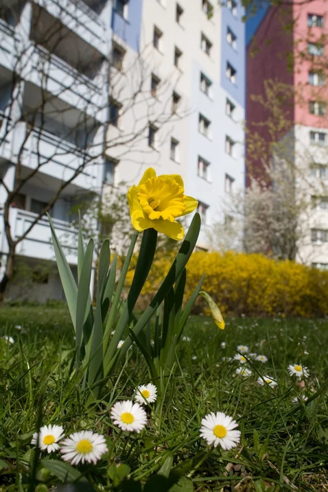 تصویر Schöne 2-Raum-Wohnung in ruhiger Lage · Martha-Arendsee-Straße 14, 12681 Berlin