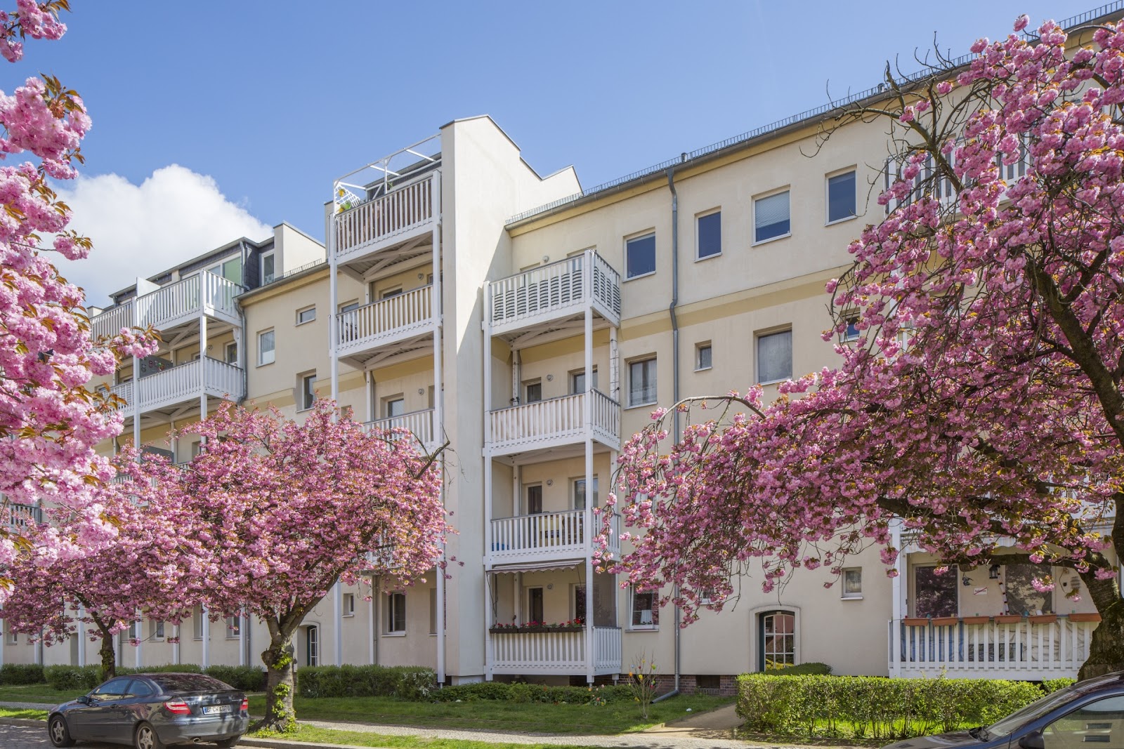 تصویر Singlewohnung Nähe Tierpark sucht Nachmieter!