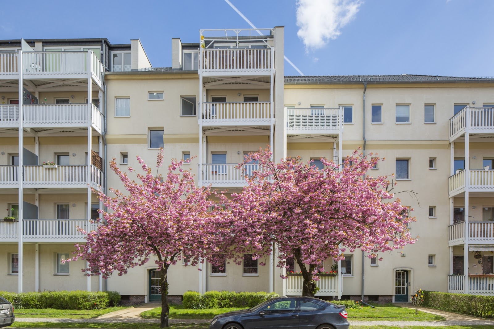 تصویر Singlewohnung Nähe Tierpark sucht Nachmieter!