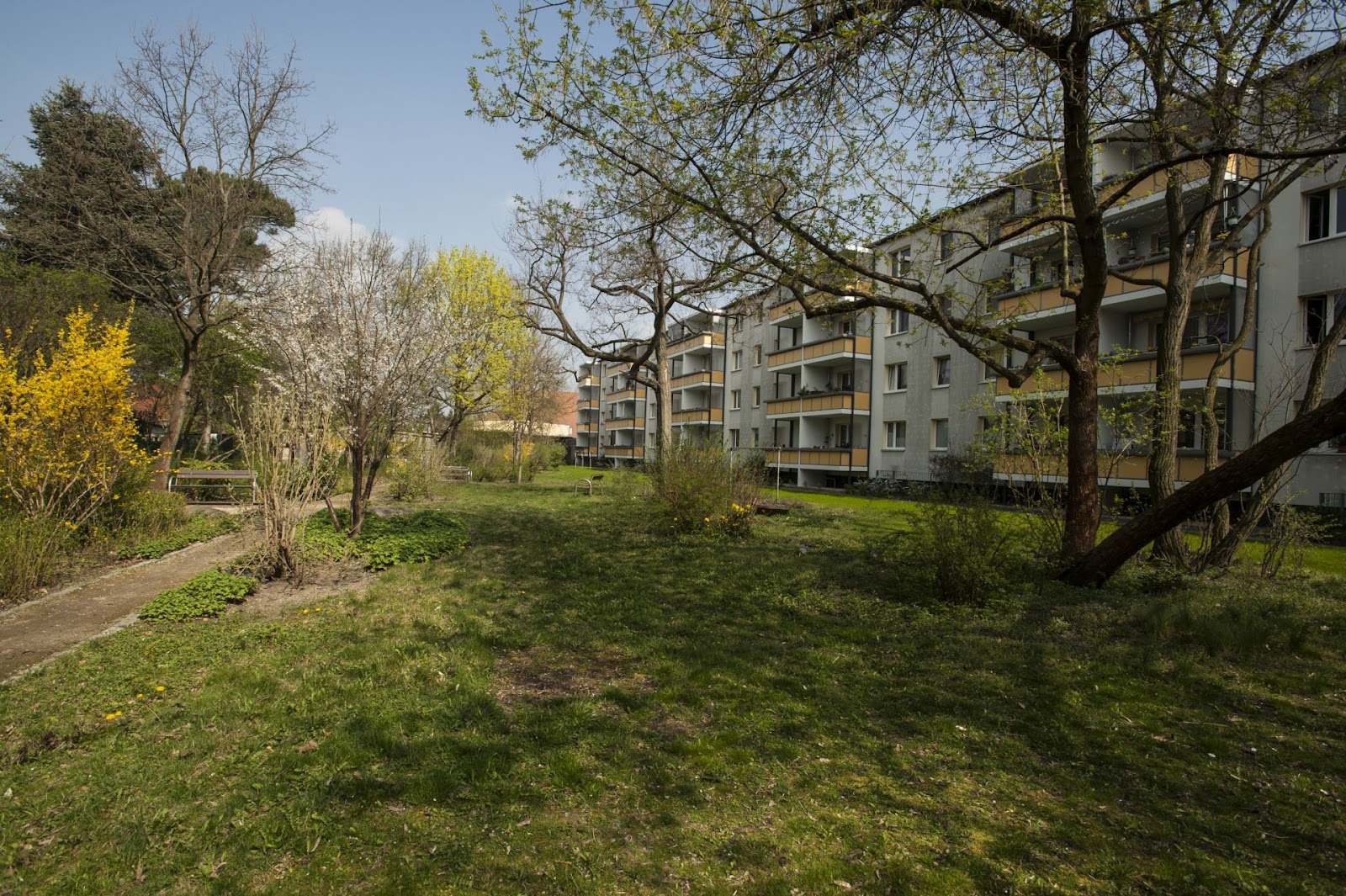 تصویر Kompakt & gemütlich - 2-Zimmer-Wohnung in Köpenick-Nord