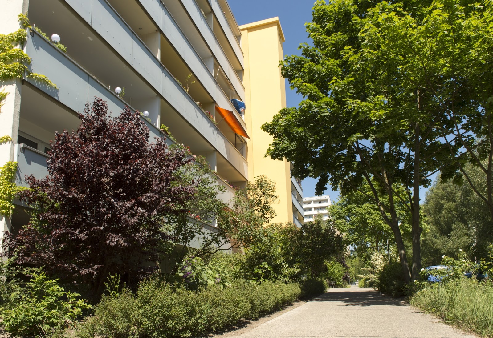 تصویر 1 Zimmer Wohnung - Seniorengerechtes Wohnen ab 60 Jahren