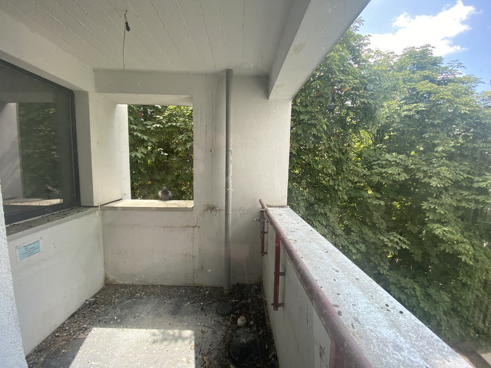 تصویر 1- Zimmerwohnung sucht neuen Mieter!
