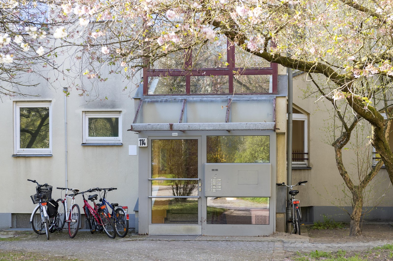 تصویر Gartenwohnung mit WBS 100 oder 140
