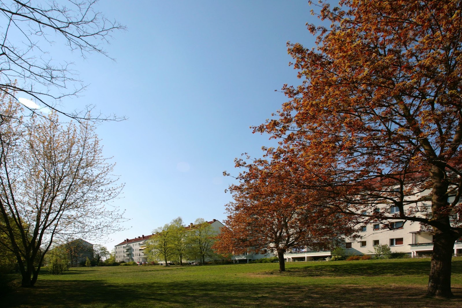 تصویر Kleine Wohlfühloase im Grünen – ideal für Singles