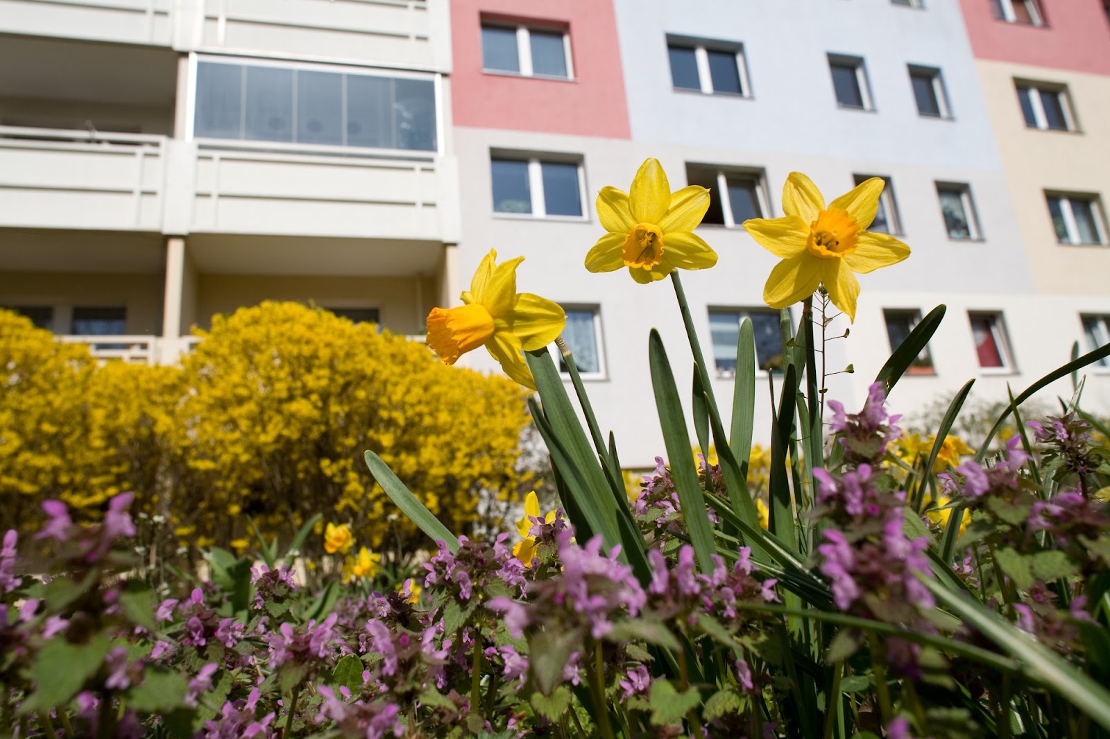 تصویر 2 Zimmer Nähe S Poelchaustraße