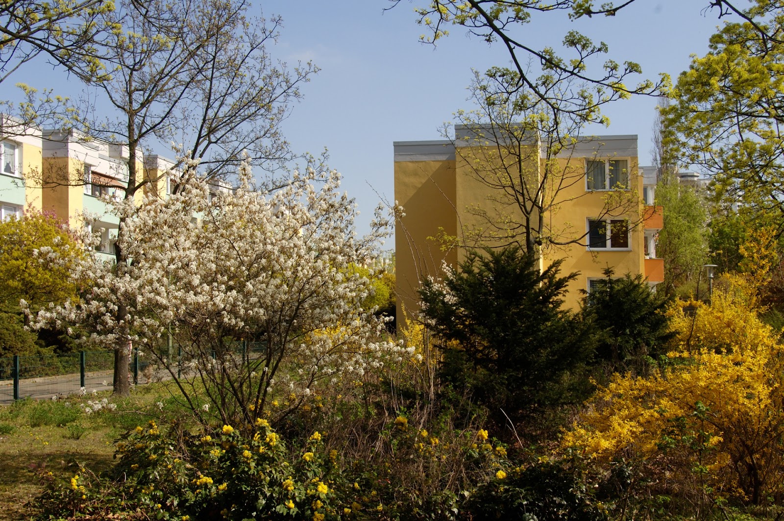 تصویر 3-Zimmerwohnung in der Gropiusstadt