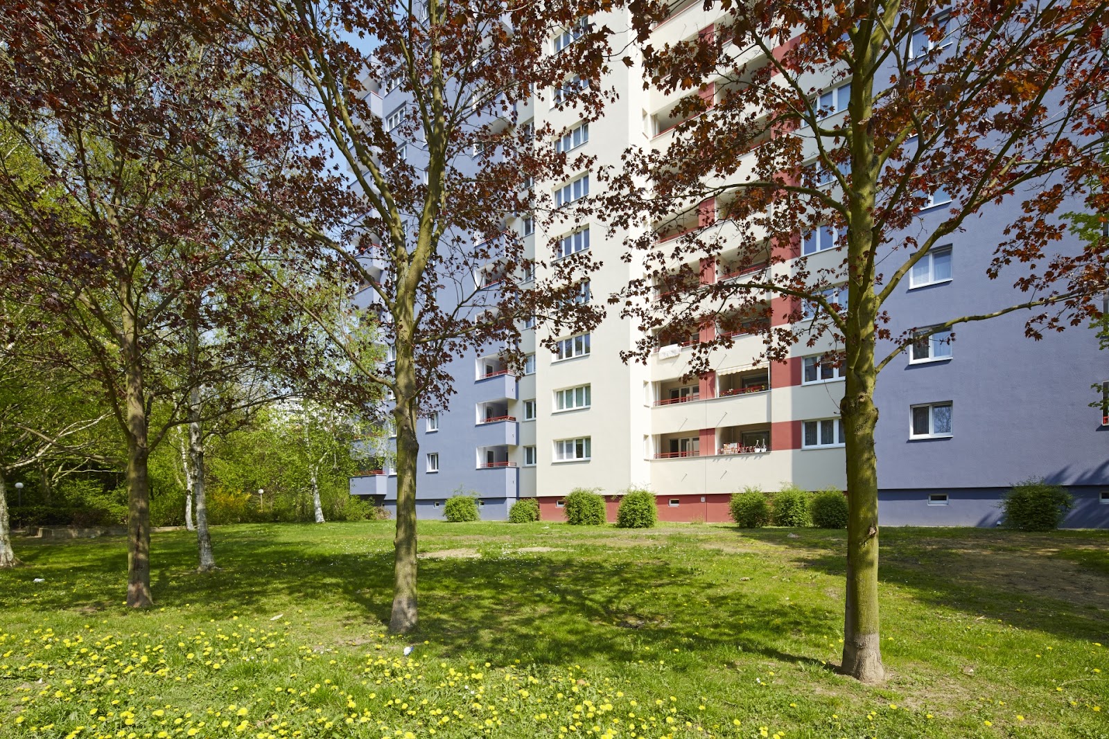 تصویر Schöne kleine Wohnung
