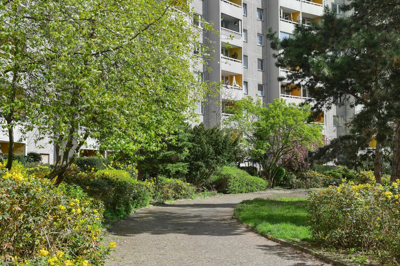 تصویر 2 Zimmer in Gropiusstadt · Fritz-Erler-Allee 116, 12351 Berlin