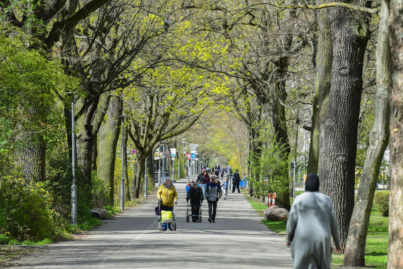 تصویر 2 Zimmer in Gropiusstadt · Fritz-Erler-Allee 116, 12351 Berlin