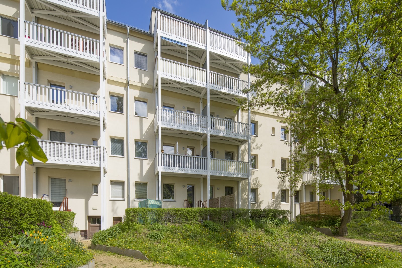 تصویر Singlewohnung Nähe Tierpark - Nachmieter gesucht!