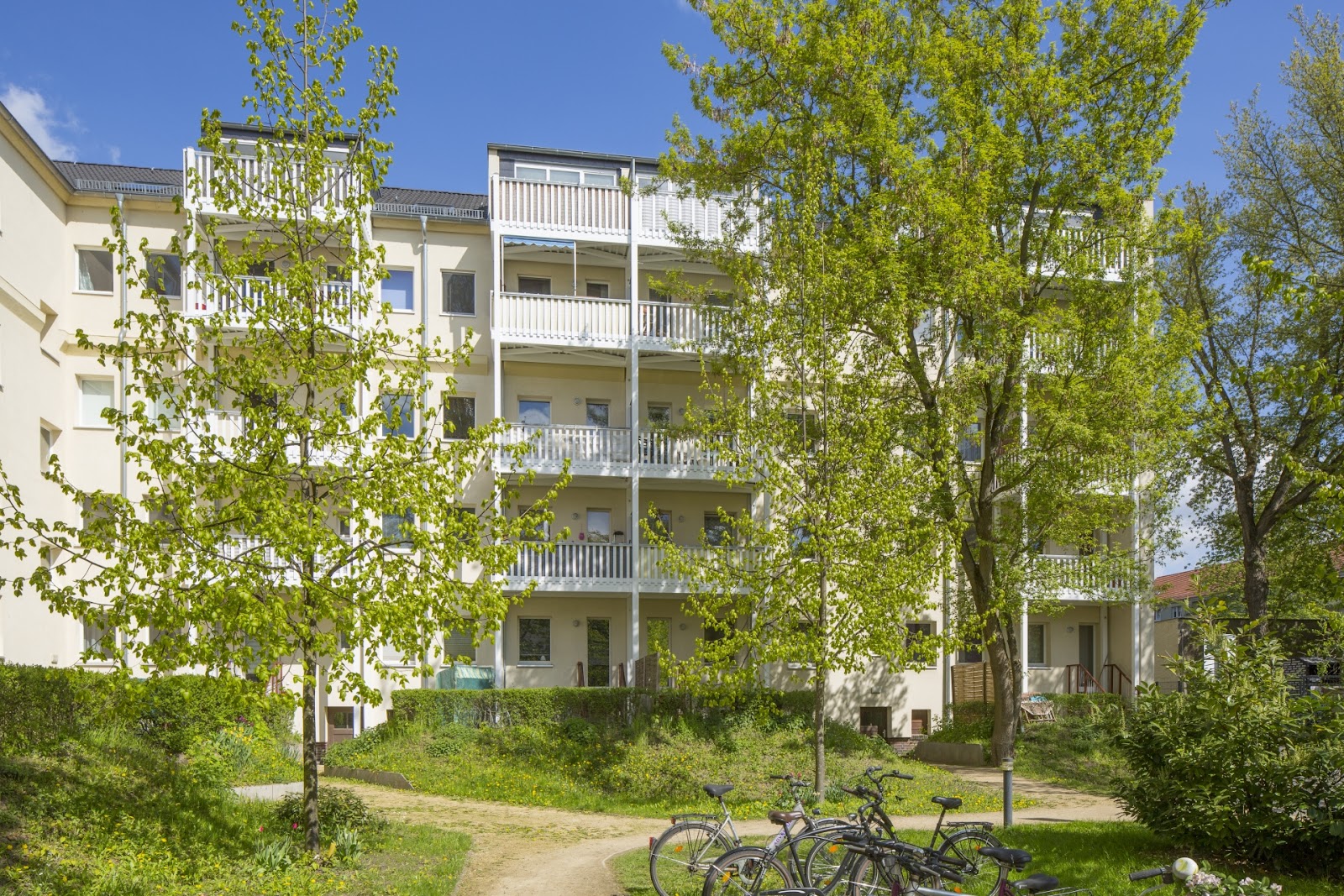 تصویر Singlewohnung Nähe Tierpark - Nachmieter gesucht!
