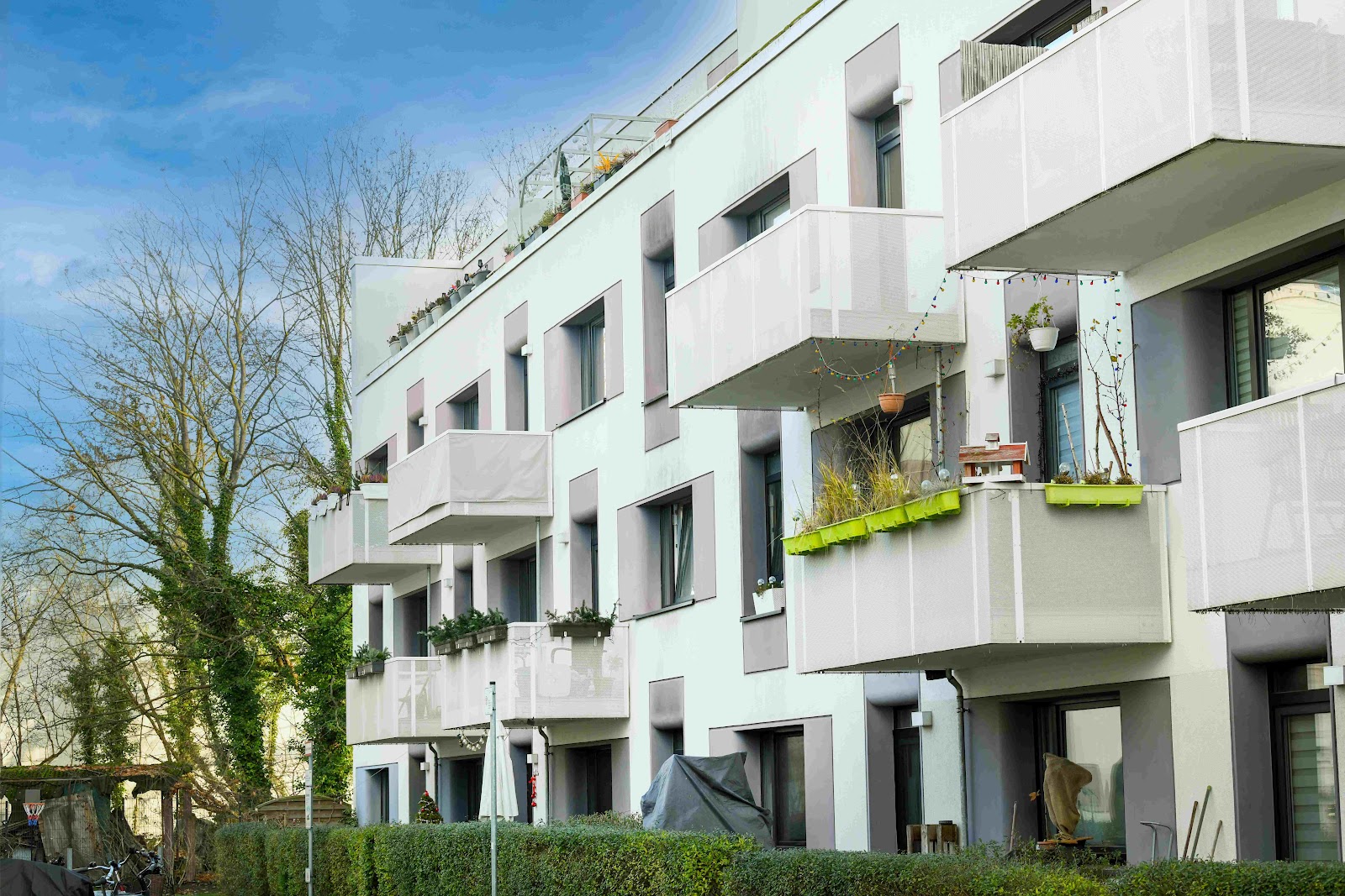 Familienwohnung in Köpenicker Dammvorstadt