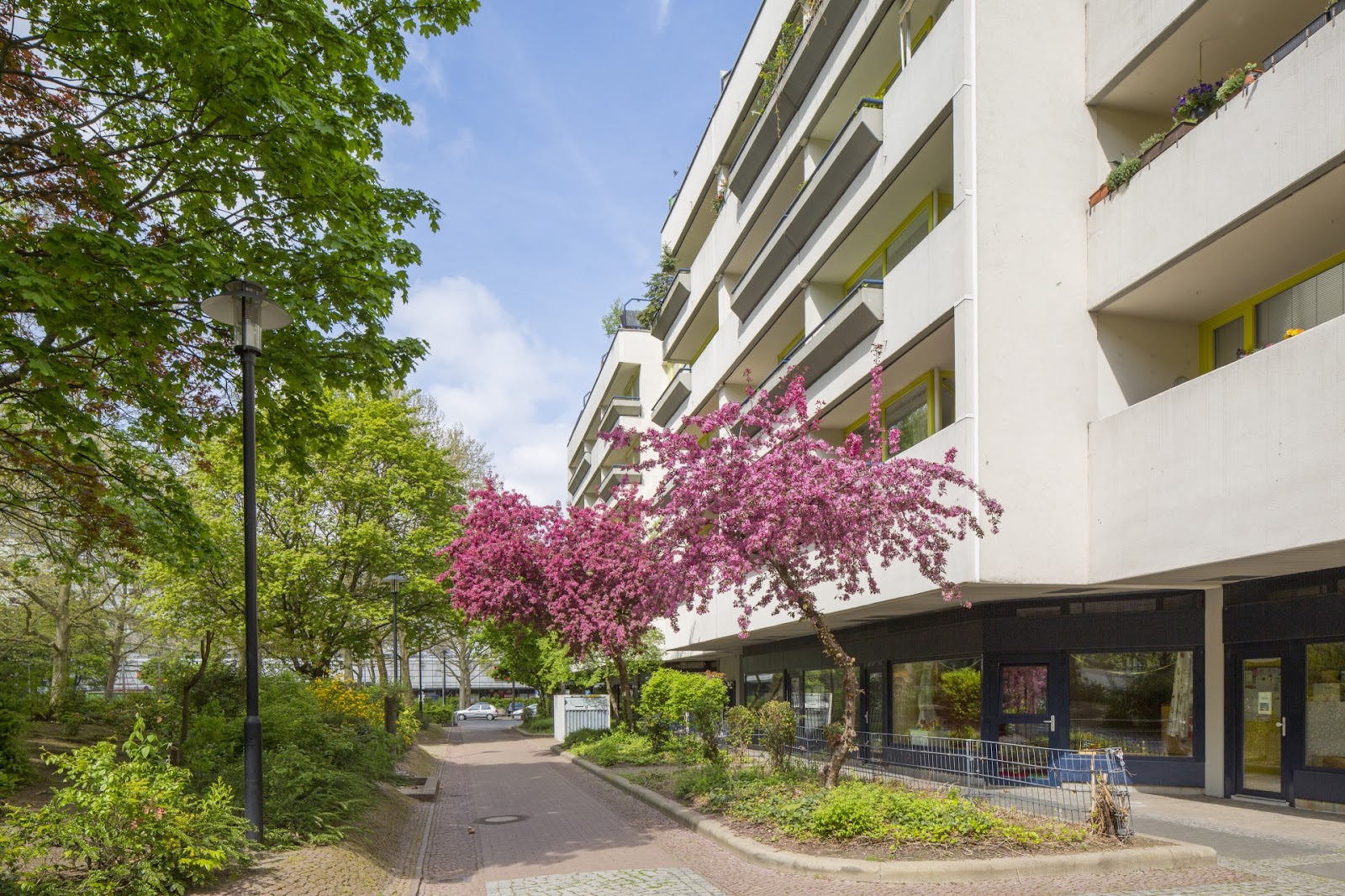تصویر Kompakte Wohnung in der "Schlange" frei