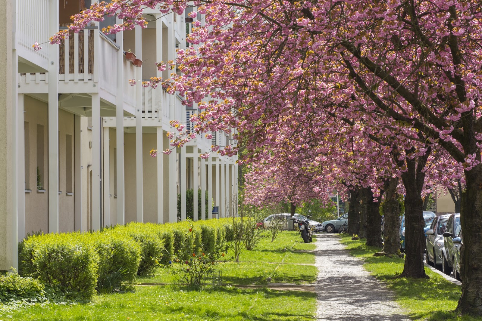 تصویر Traumwohnung Nähe Tierpark - Nachmieter gesucht! · Ribbecker Straße 57, 10315 Berlin