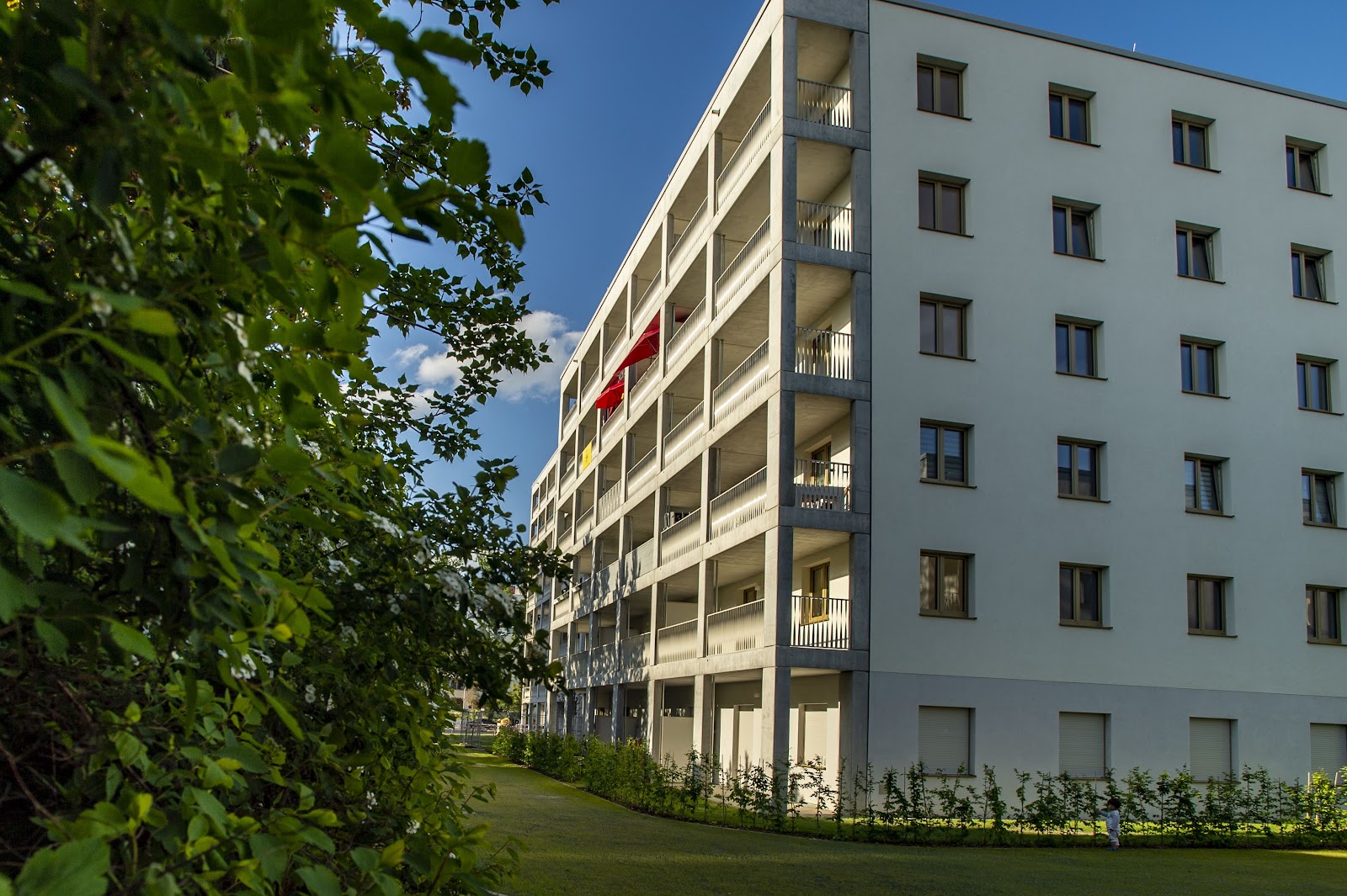 تصویر geräumige 3-Zimmerwohnung im Neubau · Theodor-Loos-Weg 33, 12353 Berlin