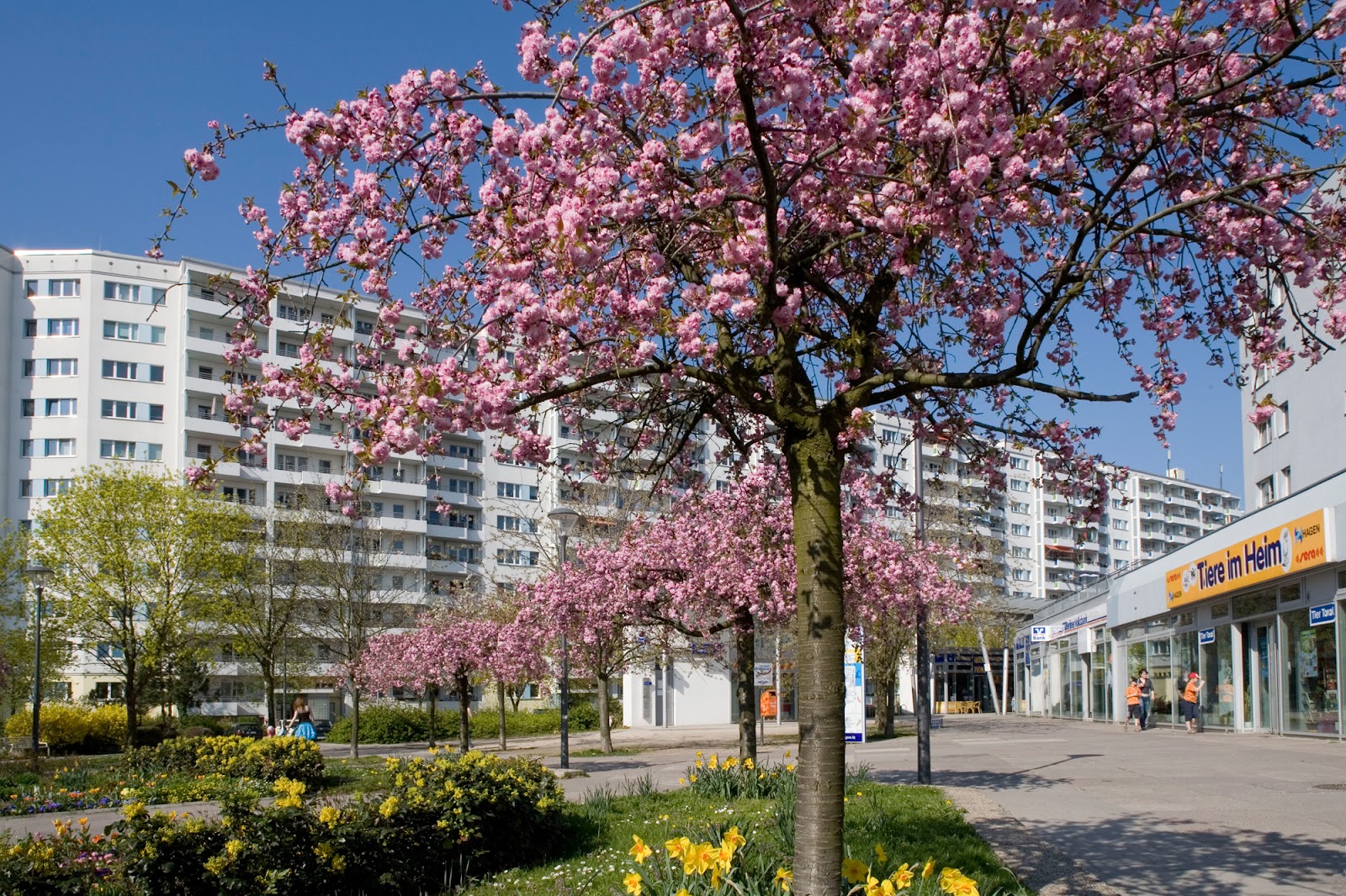 تصویر Nachmieter gesucht! - 3-Zimmer-Wohnung für Familien in Marzahn