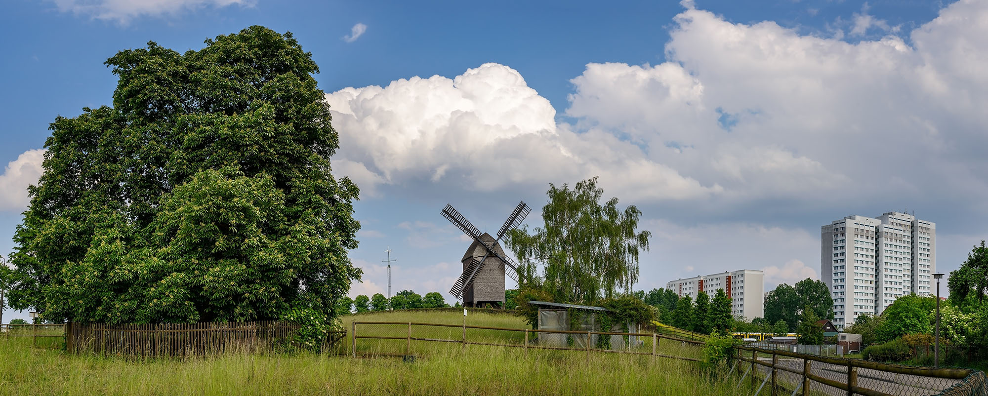 Historische Bockwindmühle auf einer Wiese in Berlin-Marzahn mit Wohnhäusern im Hintergrund.